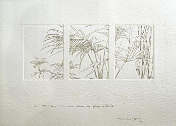 STANCES AUX CIELS