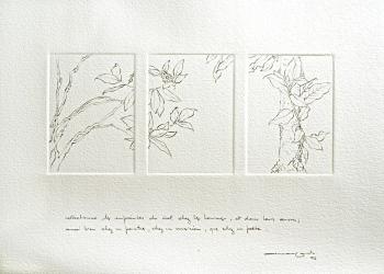 STANCES AUX CIELS