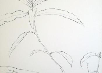 ESPRIT DE JARDIN
