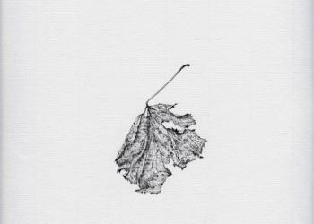 MÉMOIRE DES FEUILLES