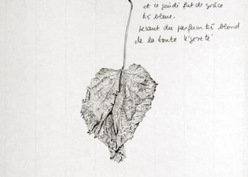MÉMOIRE DES FEUILLES