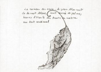 MÉMOIRE DES FEUILLES