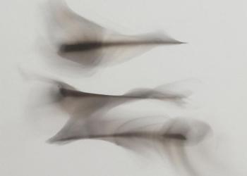 TRACES DE LUMIERE - I