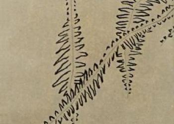 MERVEILLE ÉMERVEILLANTE N°3
