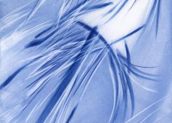 LA SUITE VÉRONIQUE  II